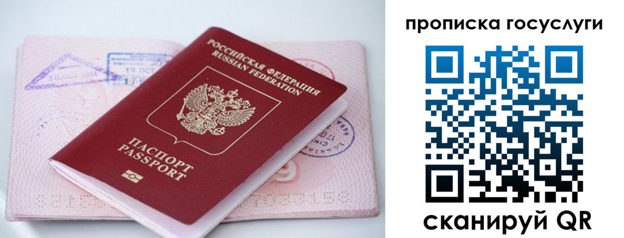 прописка законно в Рыбном